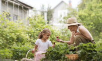 Weather Secrets: How Microclimates Make or Break a Garden