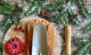 More Garden Gift Ideas