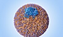 Your Cholesterol May Look Normal—This Hidden Particle Could Still Be Raising Your Heart Risk