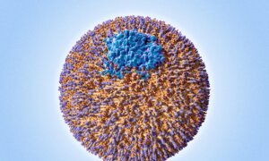 Your Cholesterol May Look Normal—This Hidden Particle Could Still Be Raising Your Heart Risk