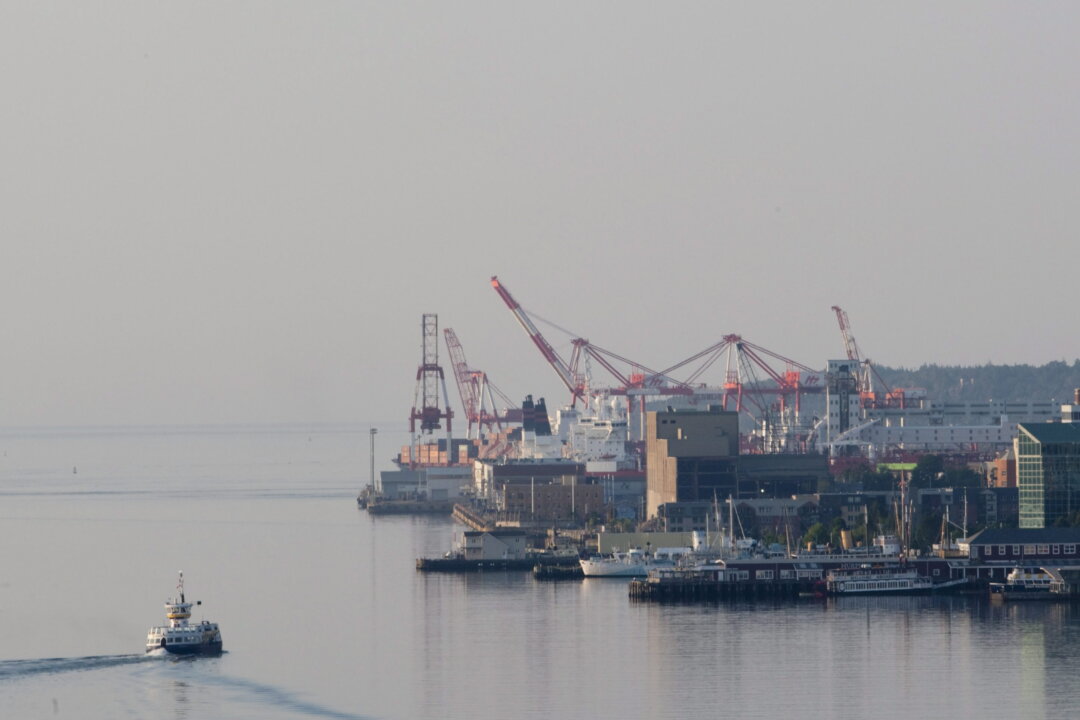 Nova Scotia Reports Highest Number of Human Trafficking Cases: StatCan