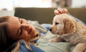 Healthy Lifestyle May Lessen Dog’s Cancer Risk