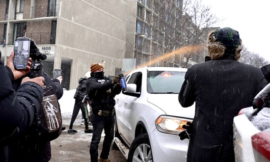 US Citizens of Somali Origin Face Audits for Potential Immigration Fraud