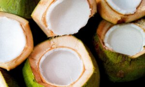 Coconut Water Emerges as Potential Aid for Ulcerative Colitis