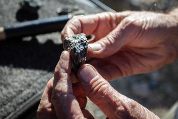 USA Rare Earth Considers Building Magnet Plant in France