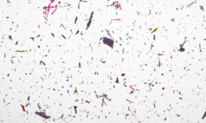 Common Household Sources of Microplastics Plus Easy Swaps