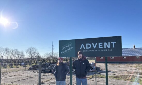 Ohio Christmas Tree Farm Grows With Regenerative Methods