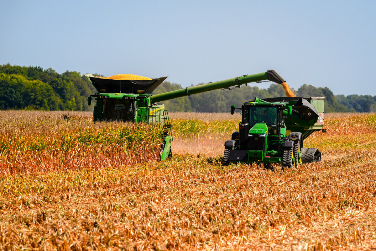 A farmer unloads corn during harvest on his farm in Warren, Ind., on Sept. 11, 2025. (Michael Conroy/AP Photo)
