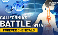 What Are Forever Chemicals and What Is California Doing About Them?