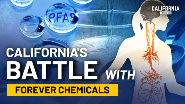 What Are Forever Chemicals and What Is California Doing About Them?
