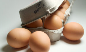 Debunking Dietary Deceptions: Do Eggs Raise Your Cholesterol?