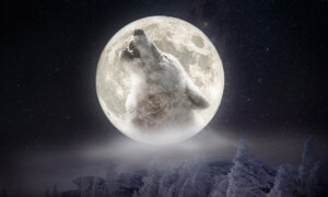The ‘Wolf Moon,’ the First Supermoon of 2026, Will Form a Conjunction With Jupiter—What to Know