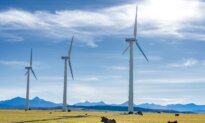 Tracing the Billions Spent on Net-Zero at All Levels of Government in Canada