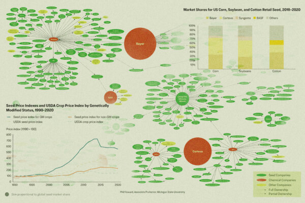Corporate Seed Control Raises Costs, Stakes for America's Food Security