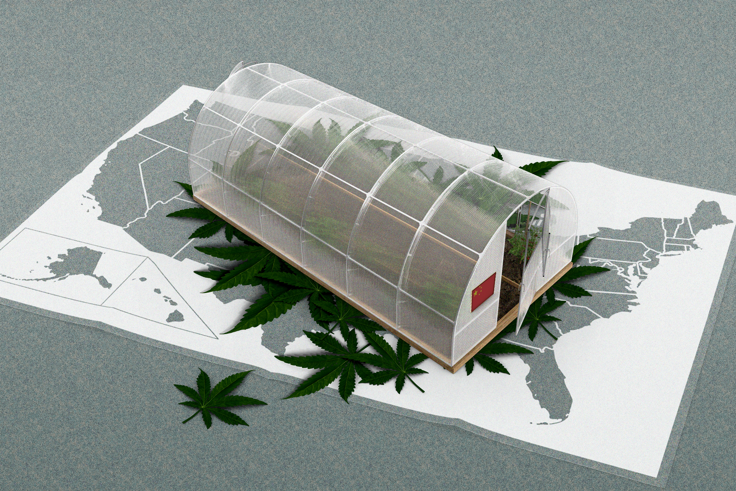 How Chinese Syndicates With Ties to CCP Took Over Marijuana Black Market in US