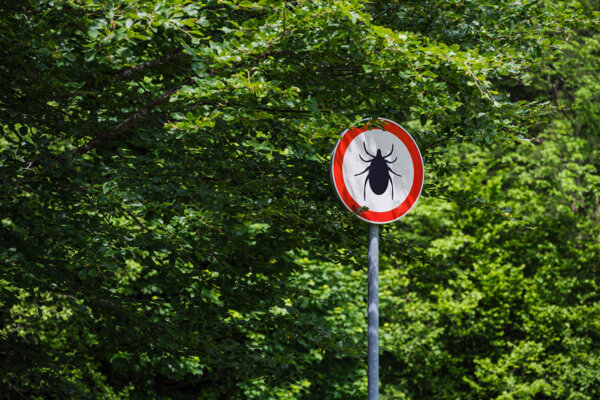  After Decades of Being Dismissed, a Chronic Disease Is Being Recognized