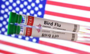 USDA Confirms Bird Flu Case in Wisconsin Dairy Herd as New Wildlife Spillover