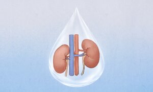 What Fear Can Do to Your Kidneys?