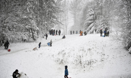 Activities Beyond the Slopes: What Ski Resorts Offer the Non-Skier