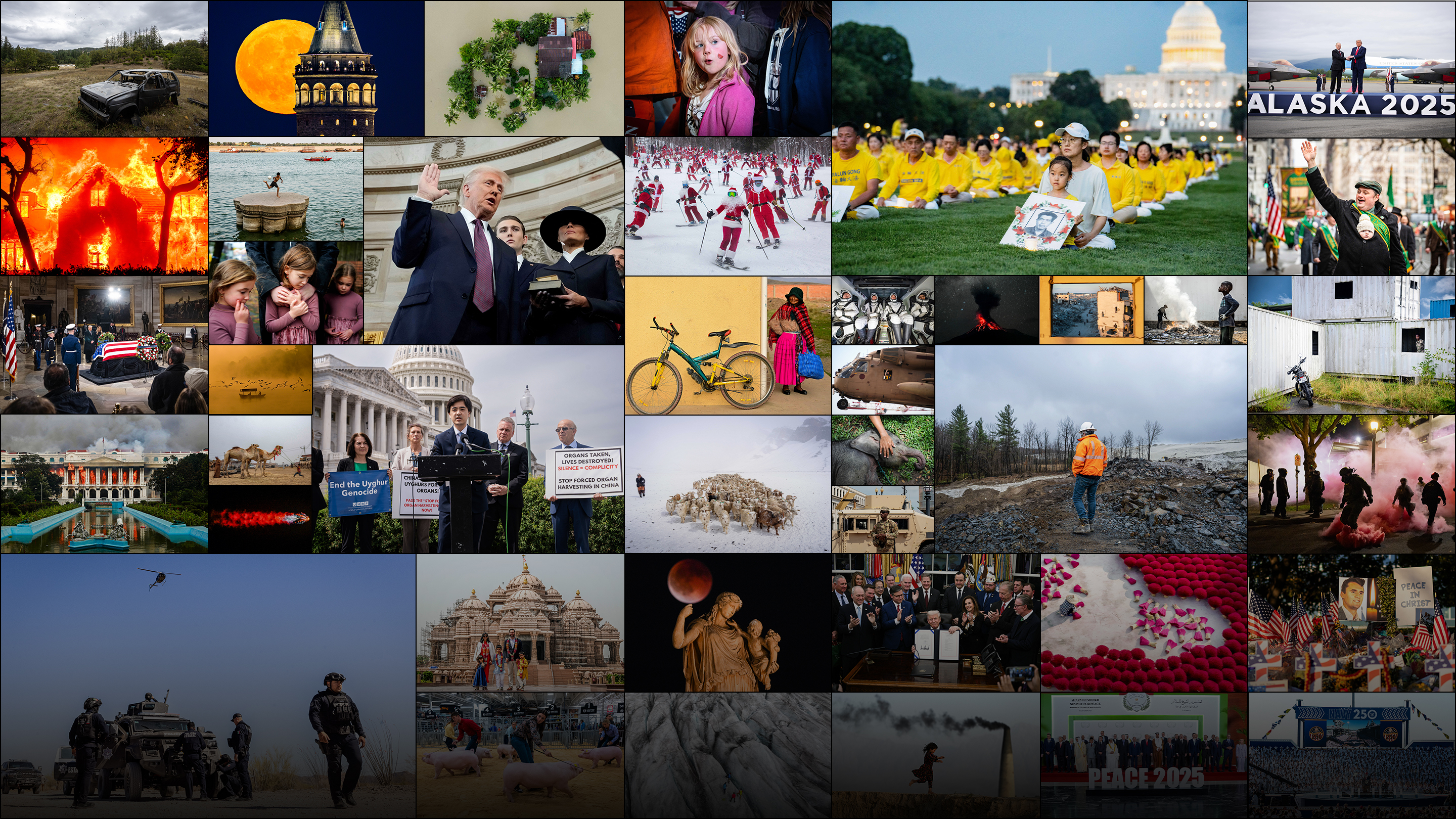 2025: The Year in Photos
