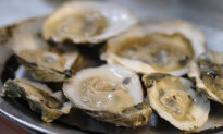 Salmonella Outbreak Linked to Raw Oysters Infects 64 People Across 22 States: CDC