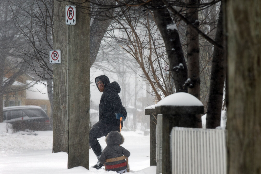 Freezing Rain, Snow Expected in Parts of Ontario as Newfoundland Braces for Blizzards
