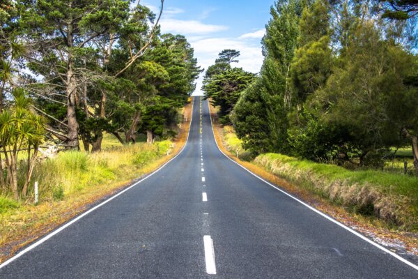 Eleanor H. Porter’s Short Story ‘The Long Road’