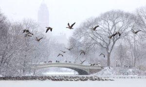 Lake-Effect Snow Blankets New York; Swiss Officials Work to Identify Victims in Deadly Fire | NTD Good Morning (Jan. 2)