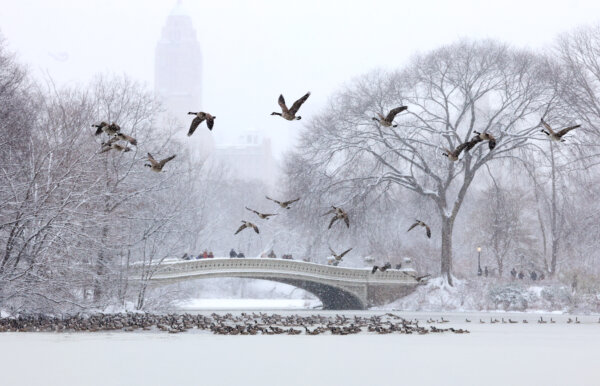 Lake-Effect Snow Blankets New York; Swiss Officials Work to Identify Victims in Deadly Fire | NTD Good Morning (Jan. 2)
