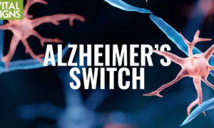 Shift Immune Cells From Attack to Brain-Defense Mode | David Perlmutter MD