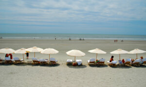 SC Has 3 of Best Islands to Visit in the South, Even in Winter, Travel + Leisure Says. Here’s Why