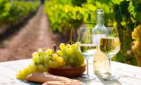 Whites Over Reds