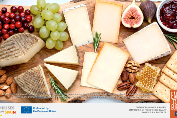 5 ‘Golden Rules’ to Create the Perfect European Cheese Board: Will You Join the Challenge?