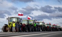 Day in Photos: Farmers’ Protest in Poland, Preparing New Year’s Fireworks, and Newborn Elephant Calf