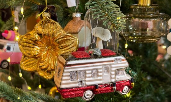 Taking the Kids: It’s Time!