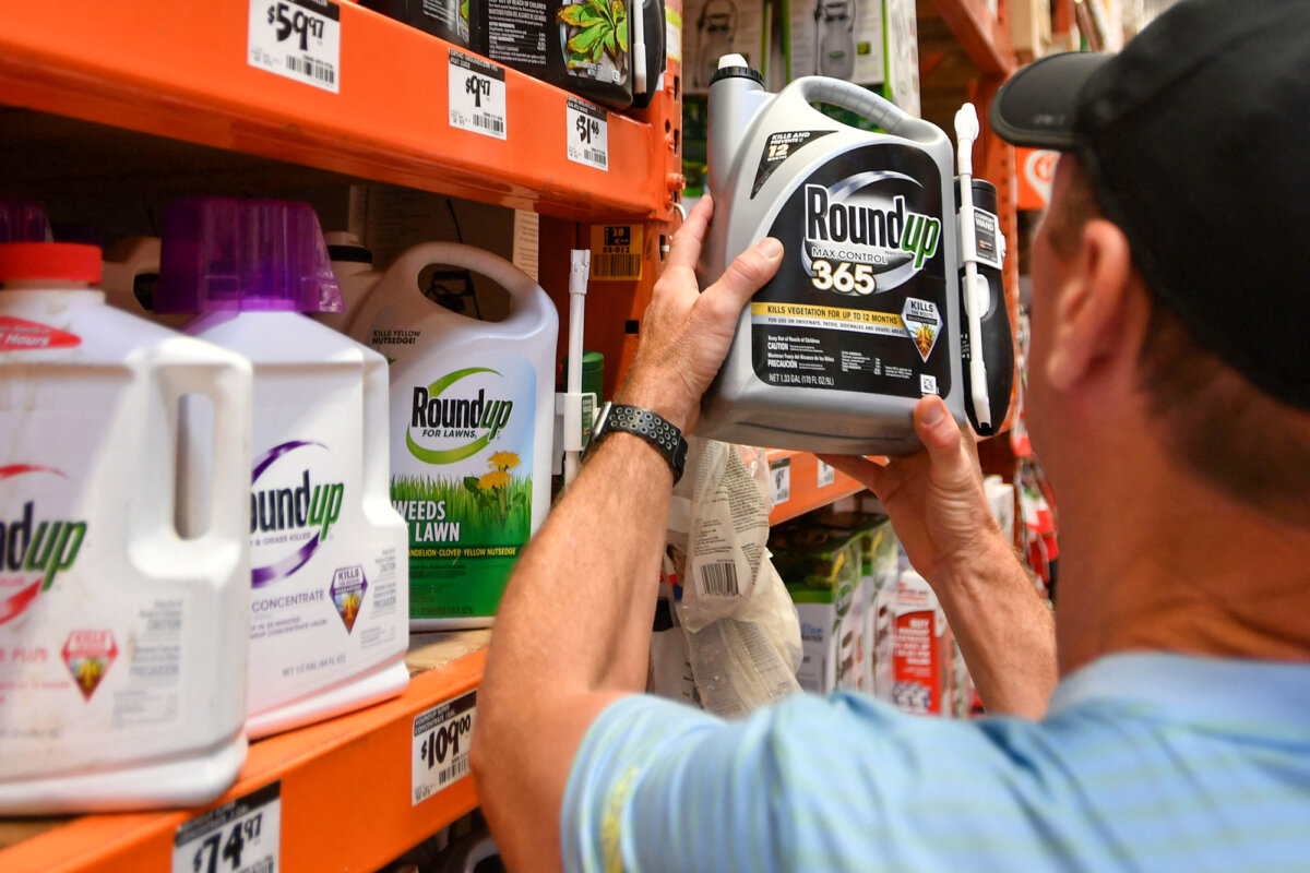 A customer shops for Roundup weed killer in San Rafael, Calif., on July 9, 2018. (Josh Edelson/AFP via Getty Images)