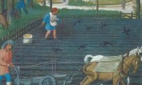 New Study: Medieval Farmers Worked With Nature, Not Against It