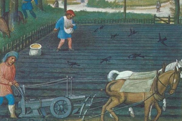 New Study: Medieval Farmers Worked With Nature, Not Against It