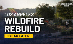 Where the Palisades Stand One Year After the Fires | Builder-Side Panel