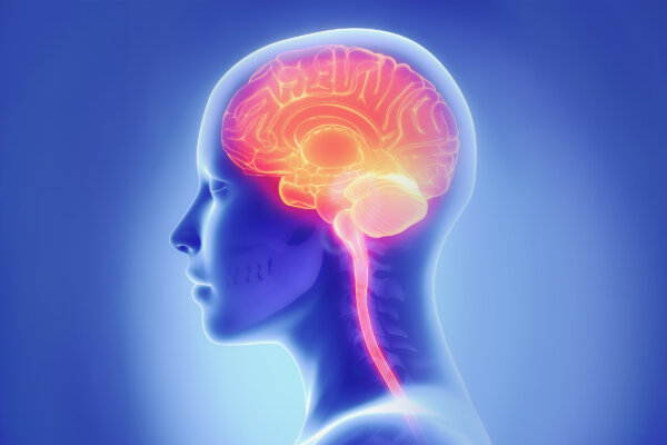 The Body Signals Before the Brain Crashes