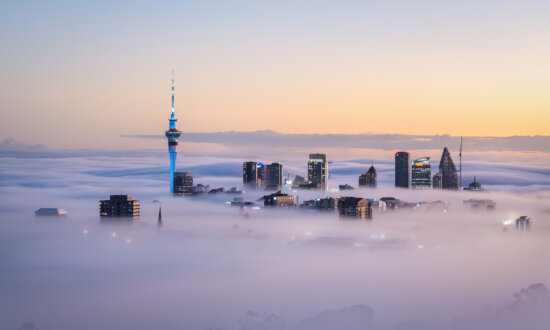 24 Hours in Auckland