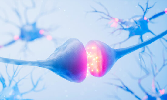 How to Feel Joy in a Dopamine-Saturated World