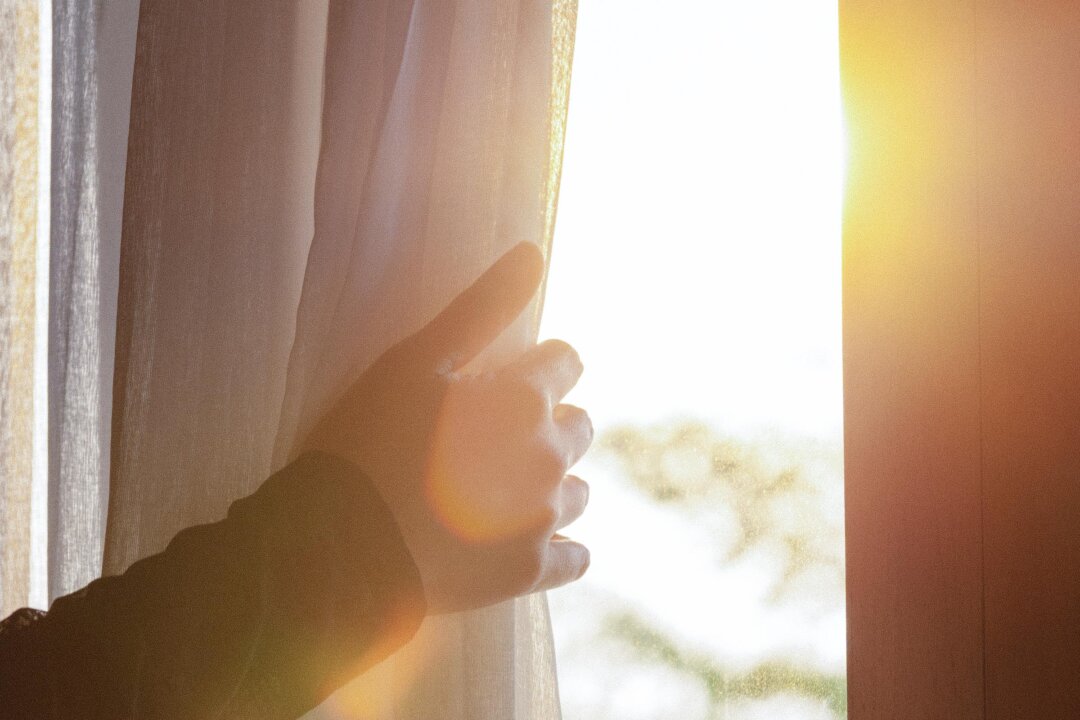 (Me dia/Shutterstock)