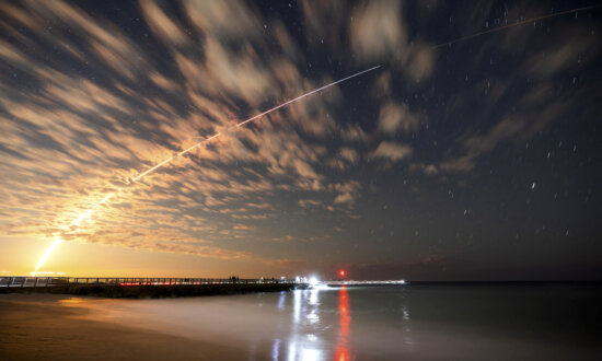 Starlink Provides Free Services for Venezuelans Until Feb. 3