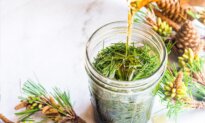 Don’t Toss Your Christmas Tree–Make a Medicinal Pine-Infused Oil Instead