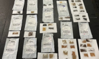 Texas Issues Warning About Unsolicited Seed Packages From China