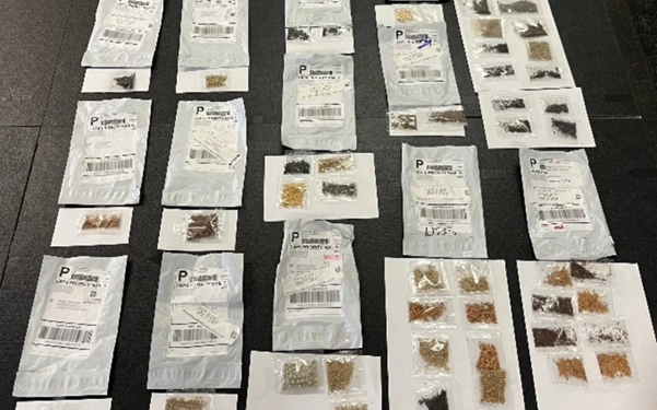 Texas Issues Warning About Unsolicited Seed Packages From China