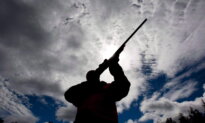 Gun Buyback Pilot in Nova Scotia Netted 25 Outlawed Firearms
