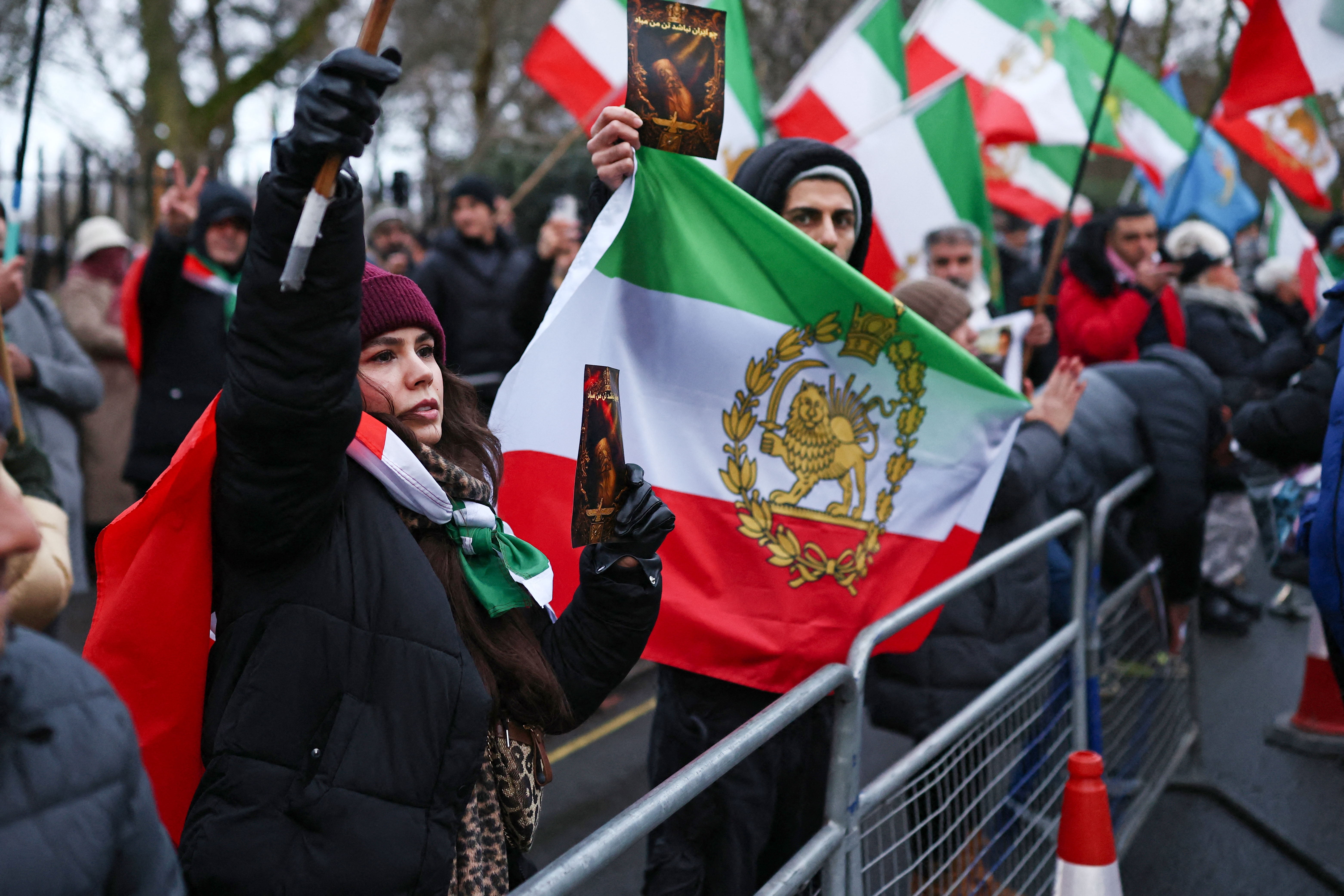 Iranian Americans Rally in Washington in Support of Protesters in Iran