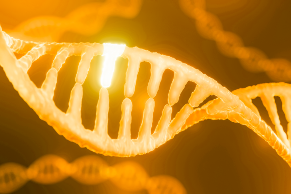 Genes Are Not Your Destiny. How to Modify Your Epigenetics for Longevity